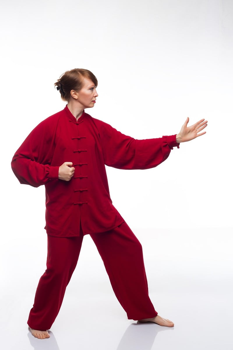 Sun Style Taijiquan